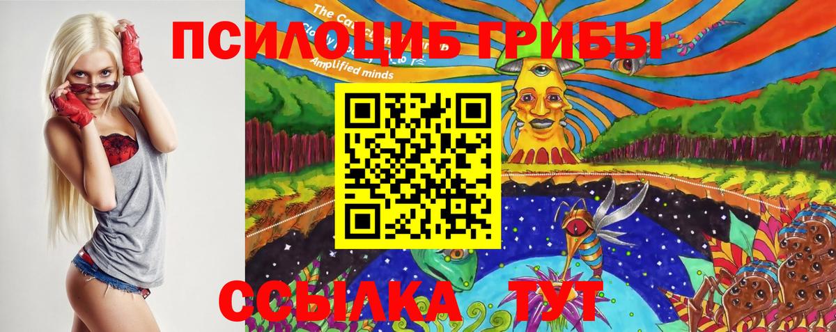 хочу   Галлюциногенные грибы прущие грибы  Вход с VPN  Кингисепп 