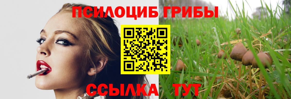 Псилоцибиновые грибы прущие грибы Кингисепп
