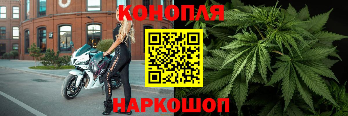 Конопля конопля  Шишки марихуана THC 21%  Кингисепп  Бошки Шишки MAZAR  Конопля сатива  Вход с VPN 